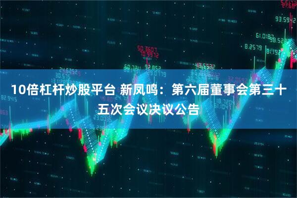 10倍杠杆炒股平台 新凤鸣：第六届董事会第三十五次会议决议公告